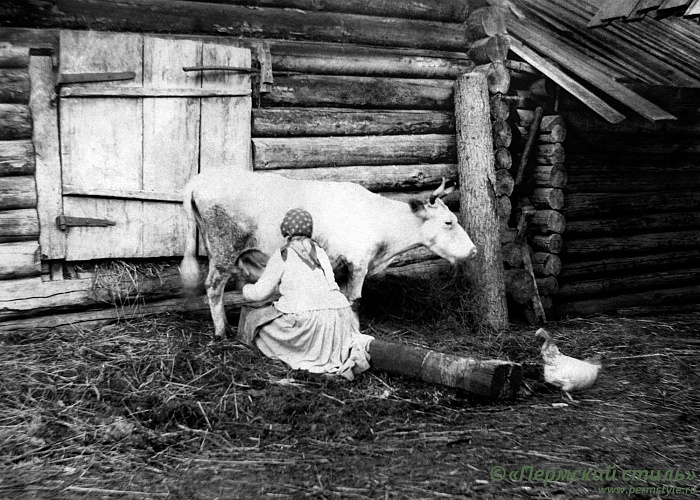 Деревенские будни